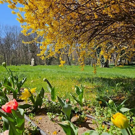 Eclectic Romexpo 2br Near Metro Апартаменты Бухарест