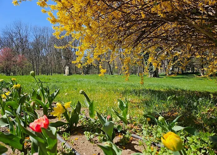 Eclectic Romexpo 2br Near Metro Apartman Bukarest
